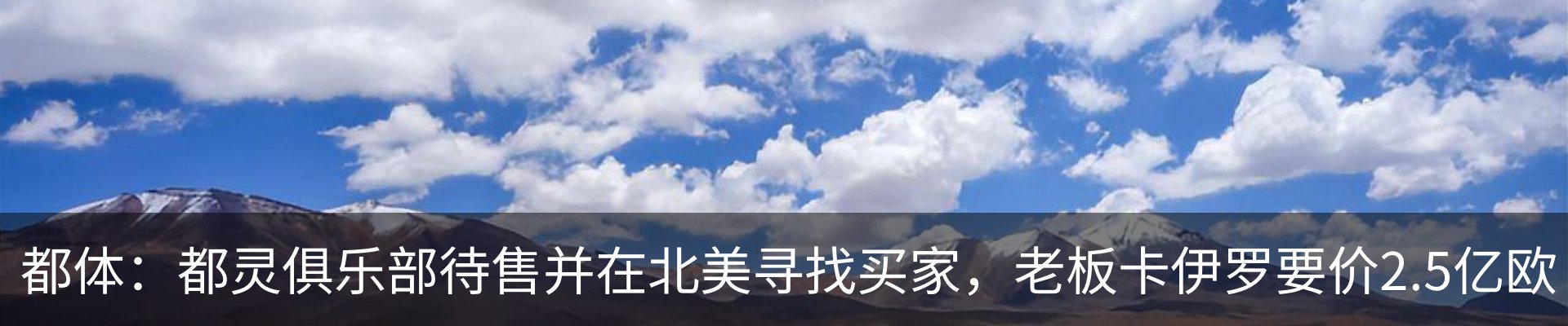 最新动态